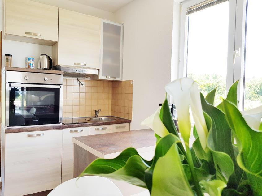 Talija Apartments Krimovica Будва Екстериор снимка